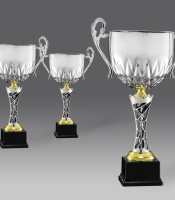 puchary, puchar 4335/1