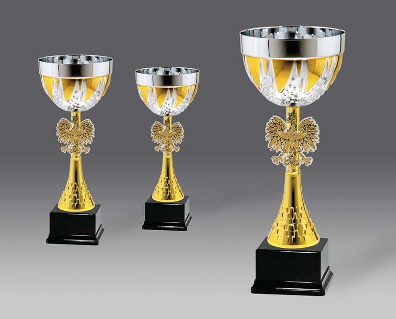  puchary statuetki medale